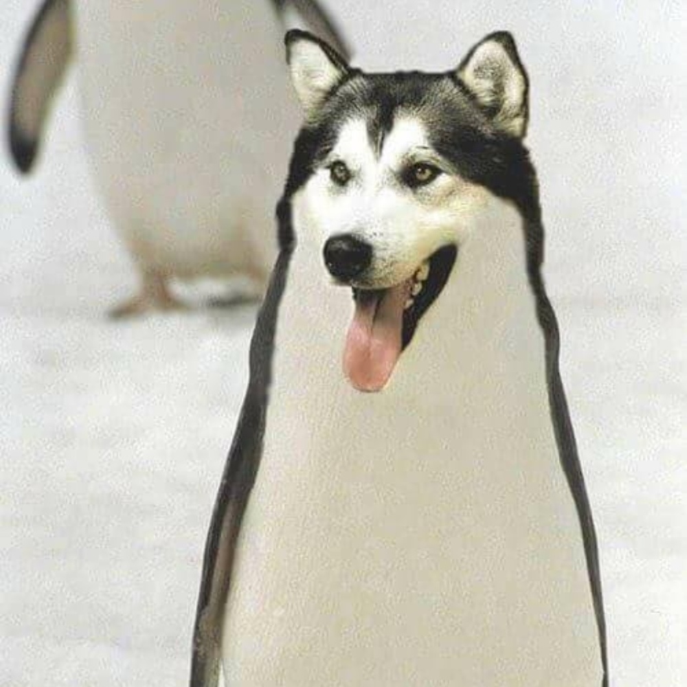 Meet your Posher, Kristin